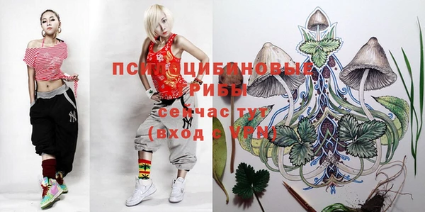 прущая мука Армянск