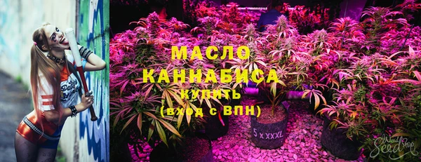 СК Аркадак